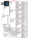 TR23-05507 507 Pedigree