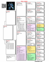 TR22-20986 986 Pedigree