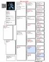 TR22-20807 807 Pedigree