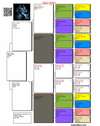 TR22-20981 981 Pedigree