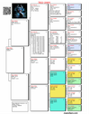 TR22-20893 893 Pedigree