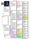 TR22-20983 983 Pedigree