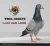 TR21-300470 470 Video