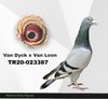 TR20-023387 387 Video