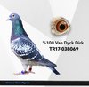 TR17-038069 mtn 069 Video