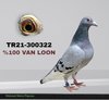 TR21-300322 322 Video