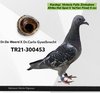 TR21-300453 afr kardes 453 Video