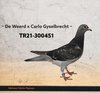 TR21-300451 yavru451 Video