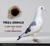 TR21-300412 412 Video