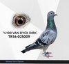 TR16-025009 VANDYCK009 Video