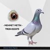 TR20-023375 METİN 375 Video