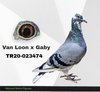 TR20-023474 474 Video