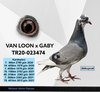 TR20-023474 van loon gaby Video