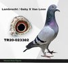 TR20-023382 382 Video