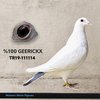 TR19-111114 METİN 114 Video