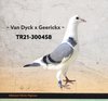 TR21-300458 YAVRU458 Video