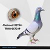 TR18-057219 mtn219 Video
