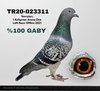 TR20-023311 311 Video