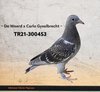 TR21-300453 YAVRU453 Video