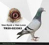 TR20-023383 383 Video
