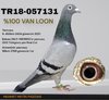 TR18-057131 131 Video