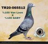 TR20-065512 512 Video