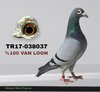 TR17-038037 037 Video
