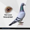 TR18-057007 van loon 007 Video