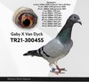 TR21-300455 g.vd Video