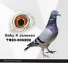 TR20-006292 6292 Video