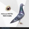 TR19-111095 Metin 95 Video
