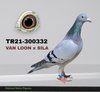 TR21-300332 332 Video