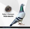 TR20-006292 mtn92 Video