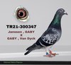 TR21-300347 347 Video