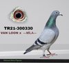 TR21-300330 330 Video