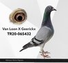 TR20-065432 432 Video
