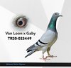 TR20-023449 MTN49 Video