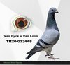 TR20-023448 448 Video
