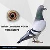 TR18-057070 METİN 070 Video