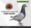 TR20-023351 amca 351 Video