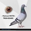 TR20-023402 mtn 402 Video