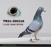 TR21-300316 316 Video