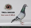 TR21-300329 329 Video