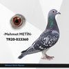 TR20-023360 mtn3360 Video