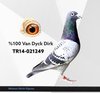 TR14-021249 mtn249 Video