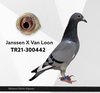 TR21-300442 jan van 442 Video