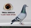 TR21-300314 314 Video
