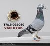 TR16-025080 080 Video