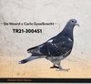 TR21-300451 YAVRU451 Video