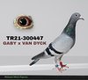 TR21-300447 447 Video